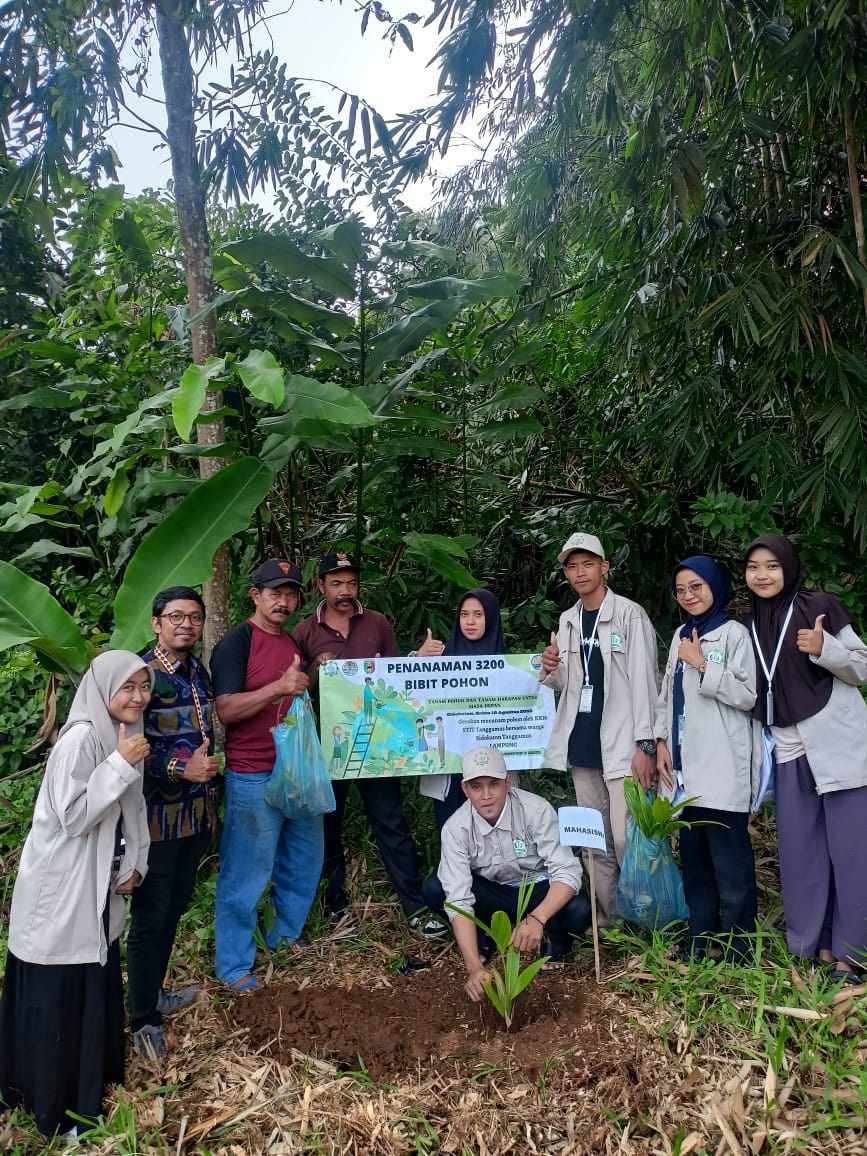Mahasiswa STIT Tanggamus Lampung, Bagikan 3.200 Bibit di Pekon Sidokaton Kecamatan Gisting