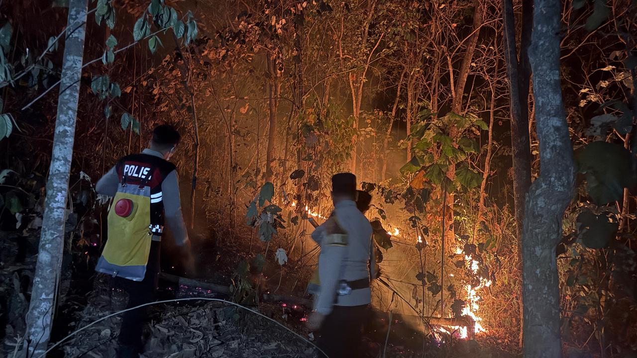 Api Kembali Muncul di Bukit Tambahrejo, Tim Gabungan Berjibaku hingga Tengah Malam