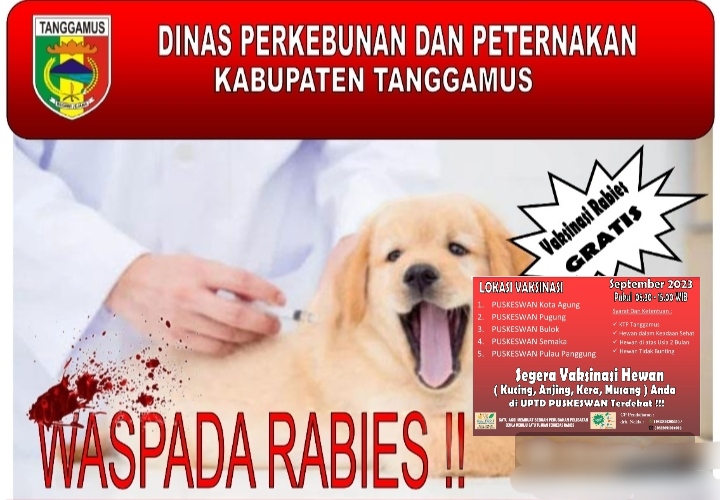 Antisipasi Rabies Pada Hewan Peliharaan Disnakbun Siapkan 600 Vaksin