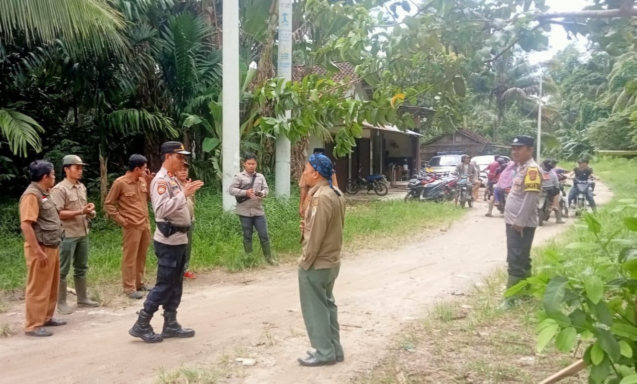 Gajah Liar Masuk Pemukiman Warga, Tim Gabungan Lakukan Penggiringan