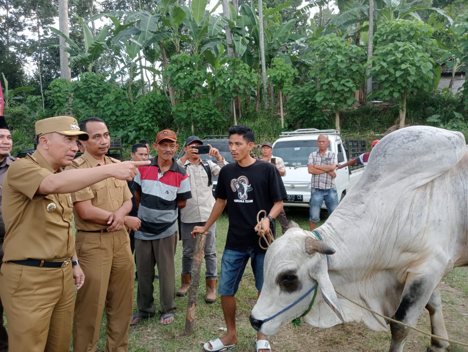 Pj Bupati Tanggamus Buka Bazar Hewan Kurban