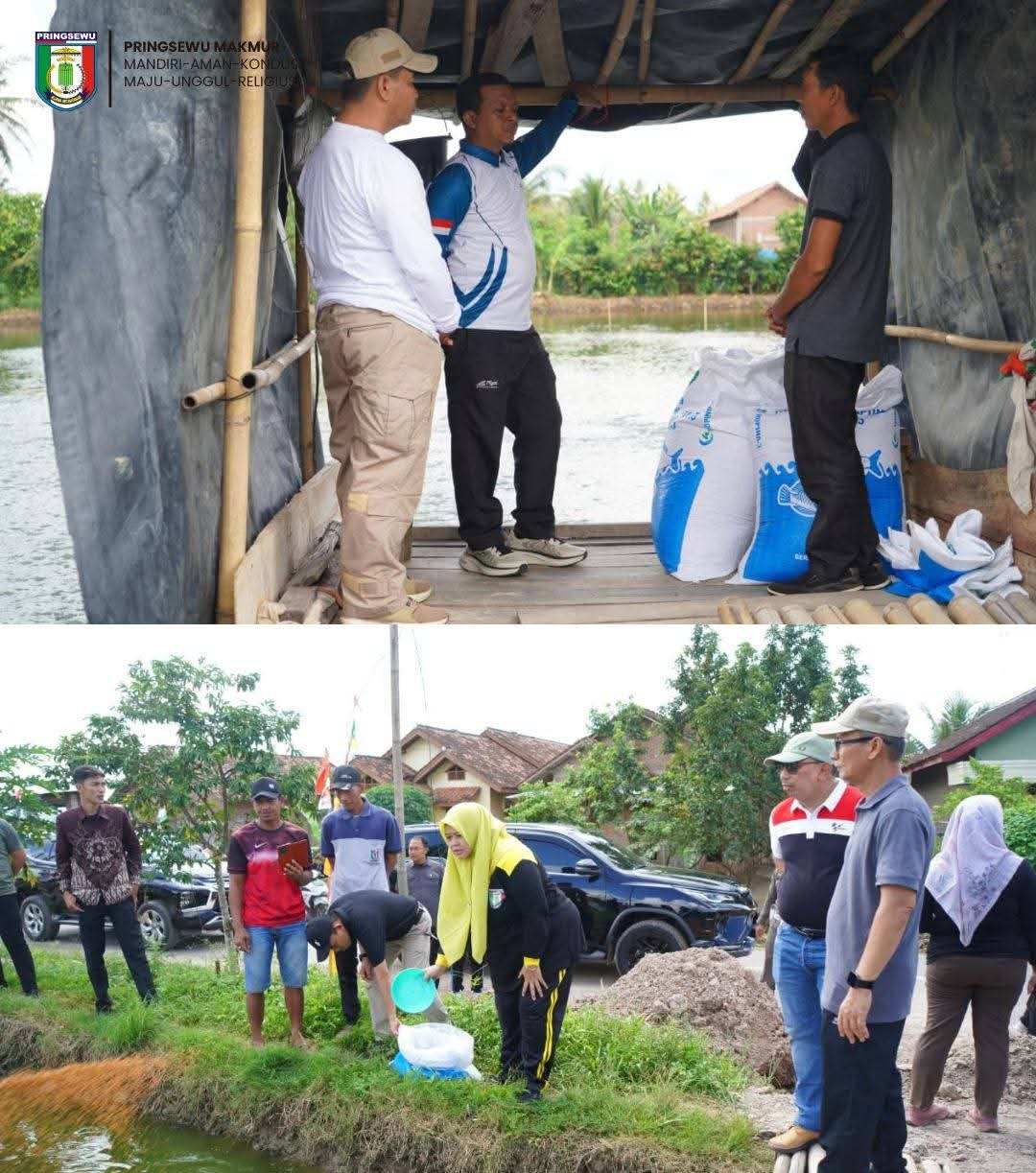 Bupati dan Wabup Pringsewu Tinjau Poktan Perikanan di Tanjung Dalam 