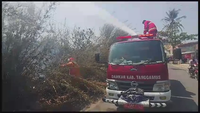 6 Ha Lahan di Pekon Tanjung Kemala, Pugung Terbakar