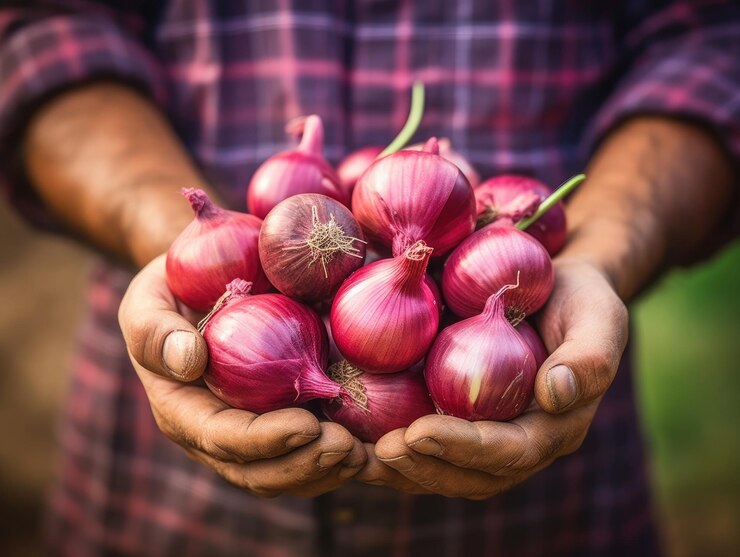 Harga Bawang Merah di Bantul Rp9.000 per Kilogram, Petani Menjerit