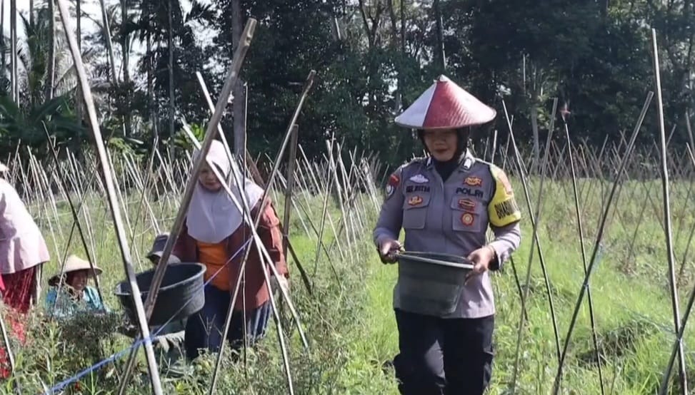 Jalin Kedekatan dengan Masyarakat, Bhabinkamtibmas Polsek Talangpadang Beri Motivasi ke Petani Rampai