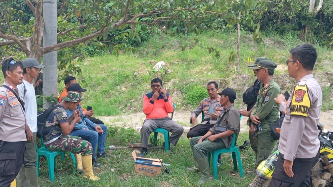 Kelompok Gajah Liar 'Bunga' Berhasil Digiring ke Kawasan Hutan TNBBS