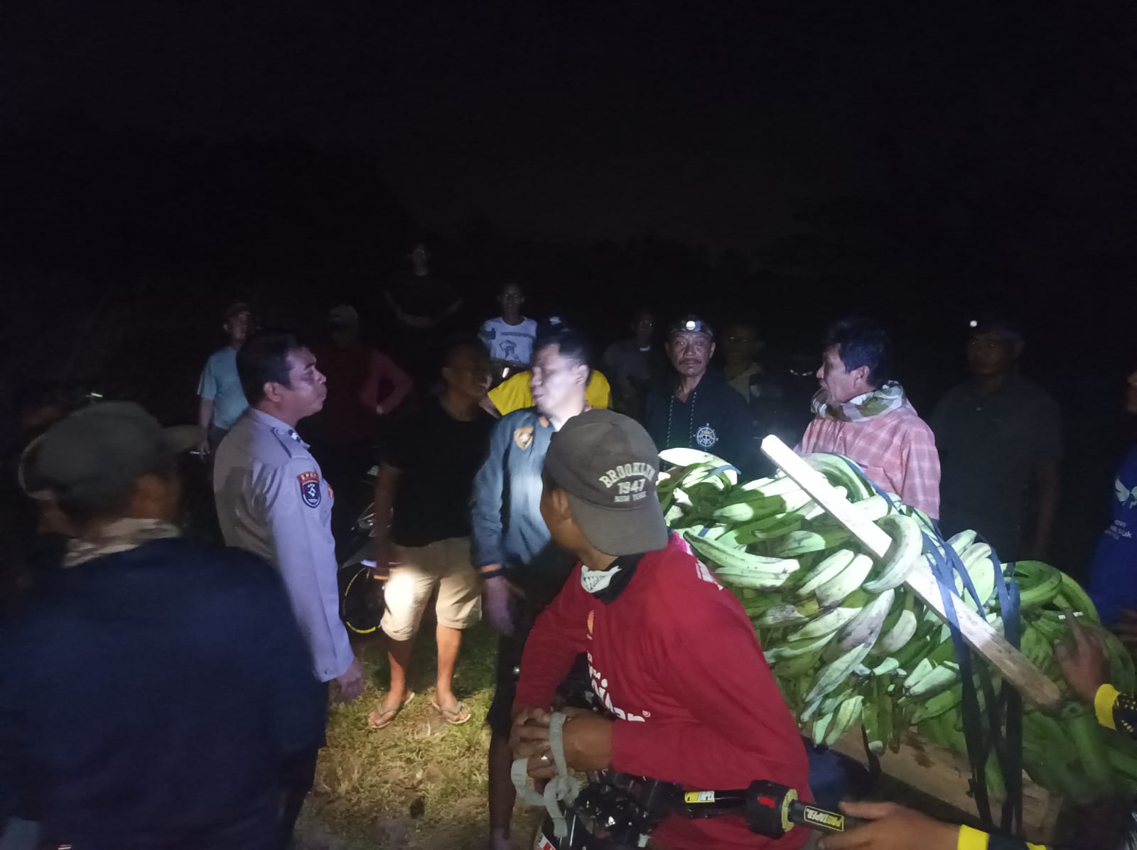 Polisi Amankan Pria Diduga Curi 11 Tandan Pisang di Kota Agung Timur