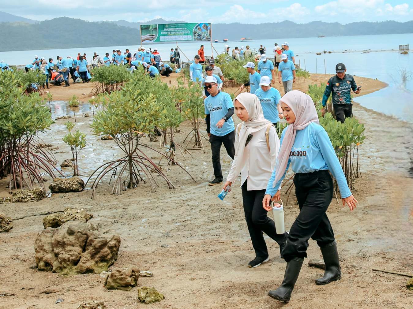 Wagub Lampung Jihan Nurlela Tanam 25.000 Mangrove di Marines Ecopark