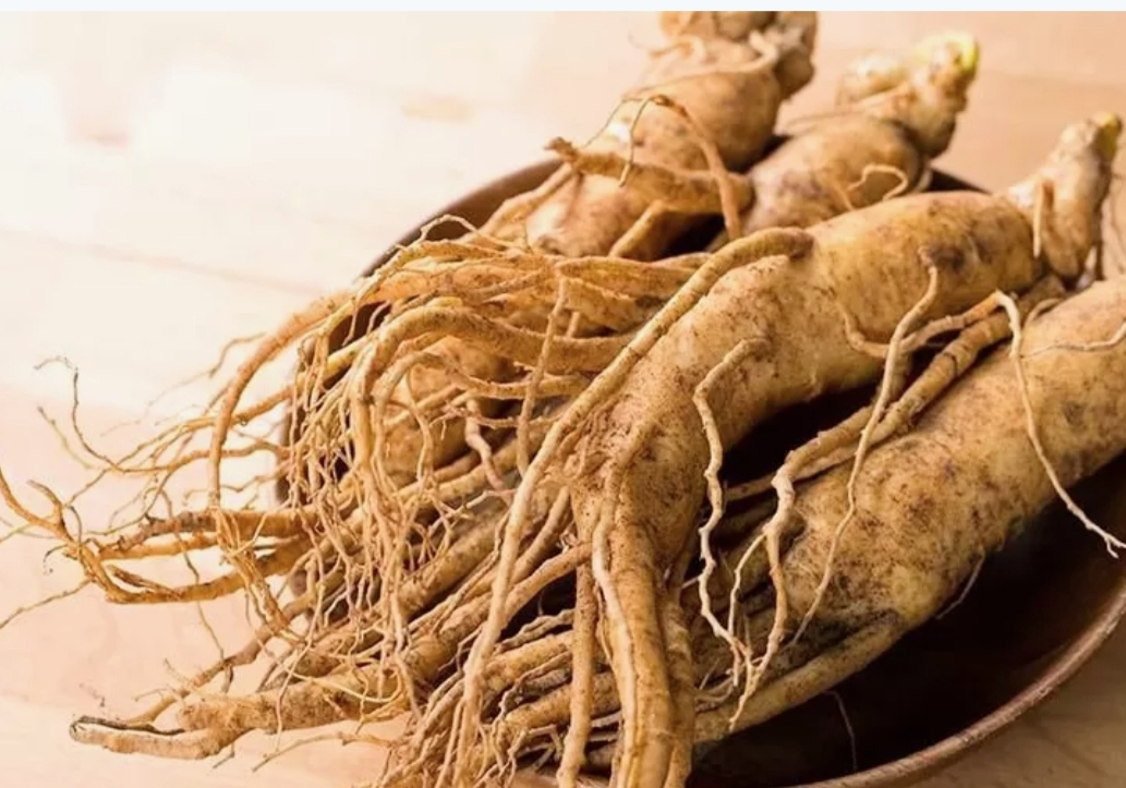 Manfaat Ginseng Selain Untuk Kesehatan Juga Dapat Meningkatkan Stamina