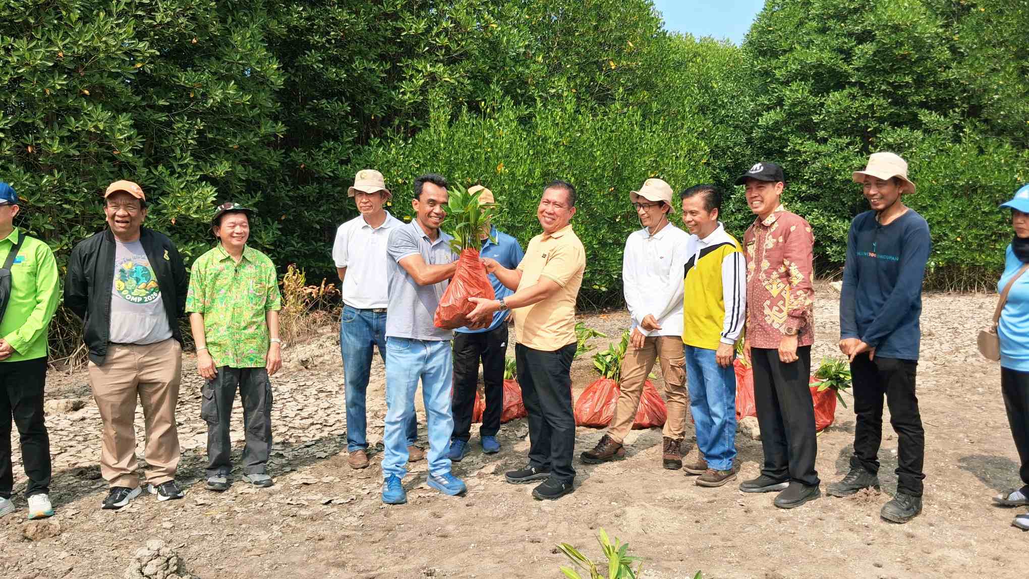 Forum CSR Lampung Tanam 4.000 Mangrove