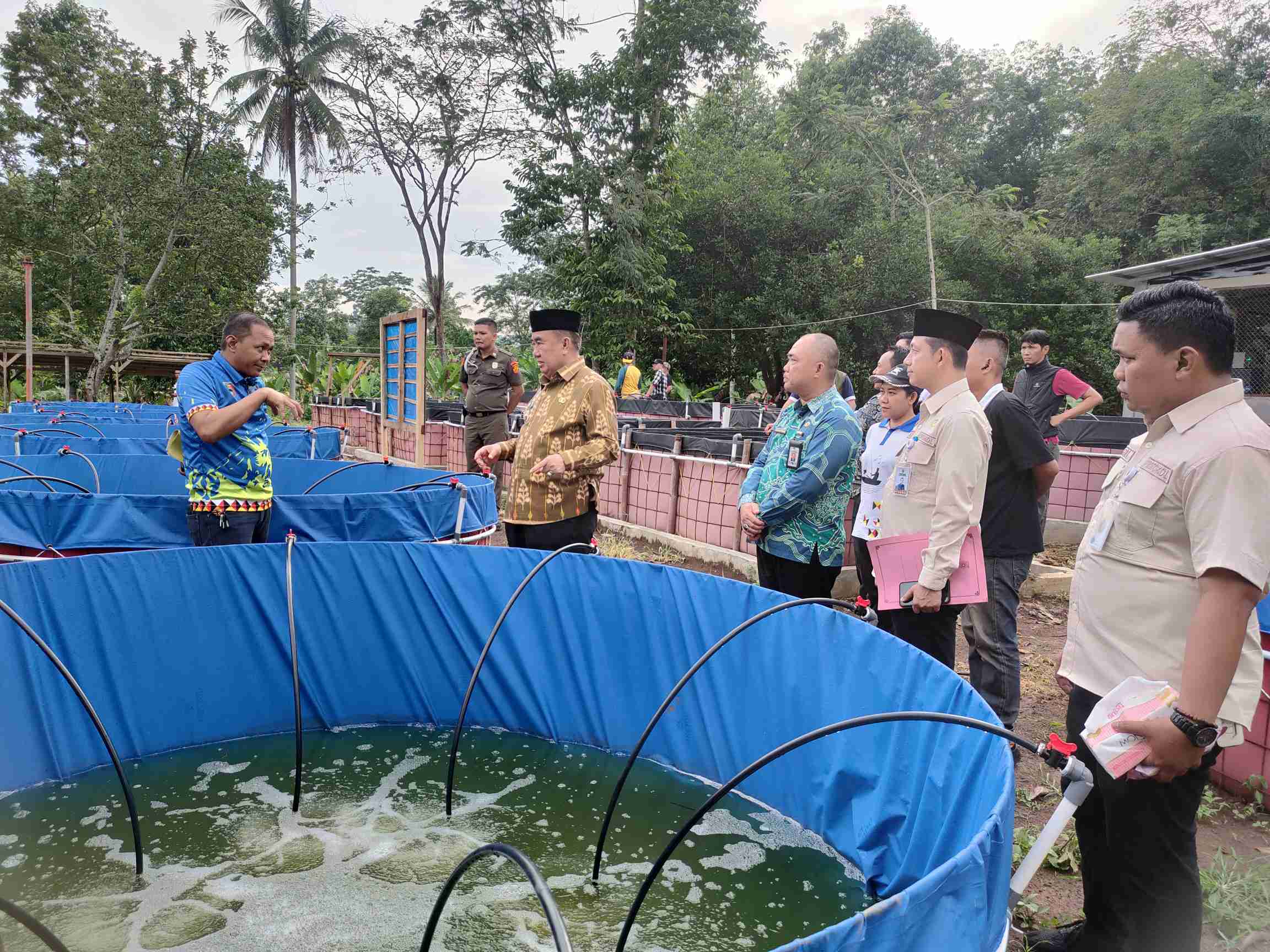 Bupati Saleh Asnawi Tinjau Project Farming Integration di Way Jaha Pugung