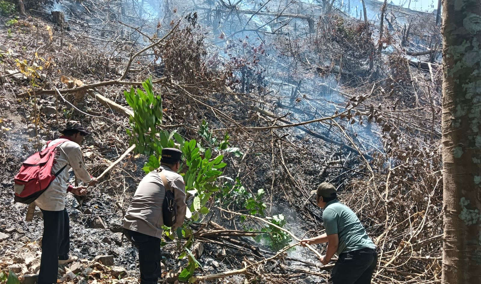 Api Berkobar di Tanggamus! Setengah Hektare Lahan di Pekon Umbar Terbakar