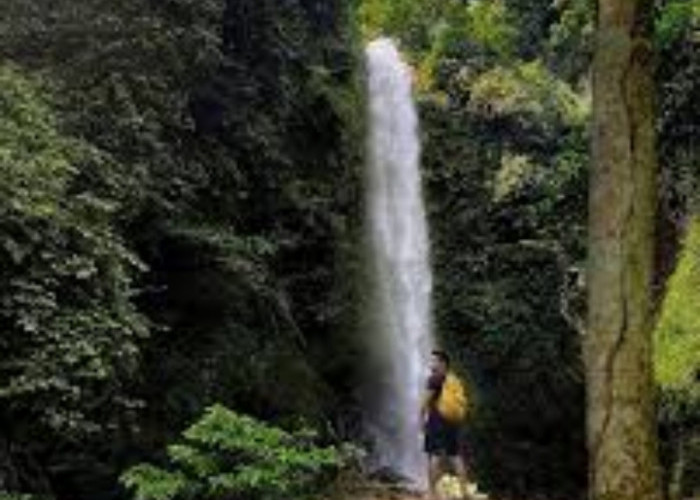 7 Wisata Air Terjun di Kabupaten Tanggamus, Memiliki Pemandangan Yang Eksotis 
