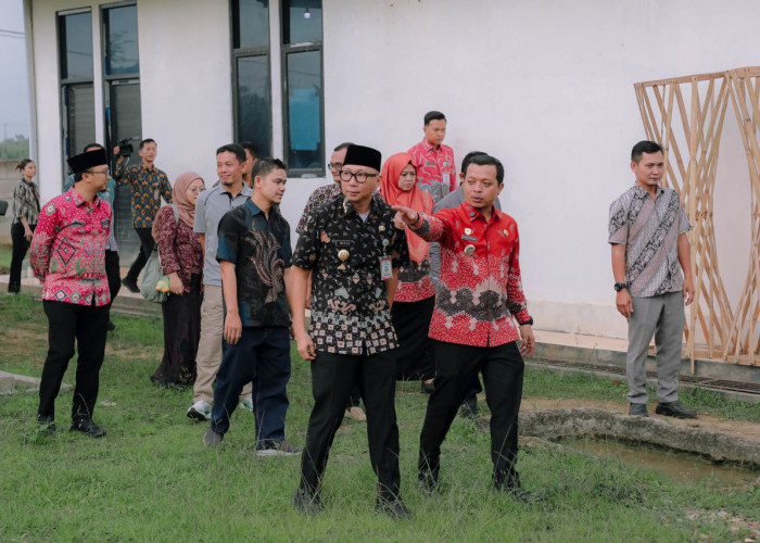 Gubernur Lampung Dorong Hilirisasi Singkong Saat Tinjau Sentra Mocaf di Pringsewu