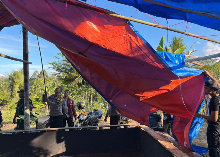 Polisi-TNI Bongkar Gelanggang Sabung Ayam di Pulau Panggung, Arena 8x10 Meter Dimusnahkan