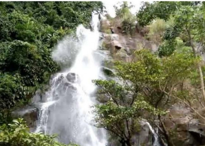 Inilah Deretan Air Terjun Menawan di Kabupaten Tanggamus, Nomor 2 Cukup Populer di Kalangan Wisatawan