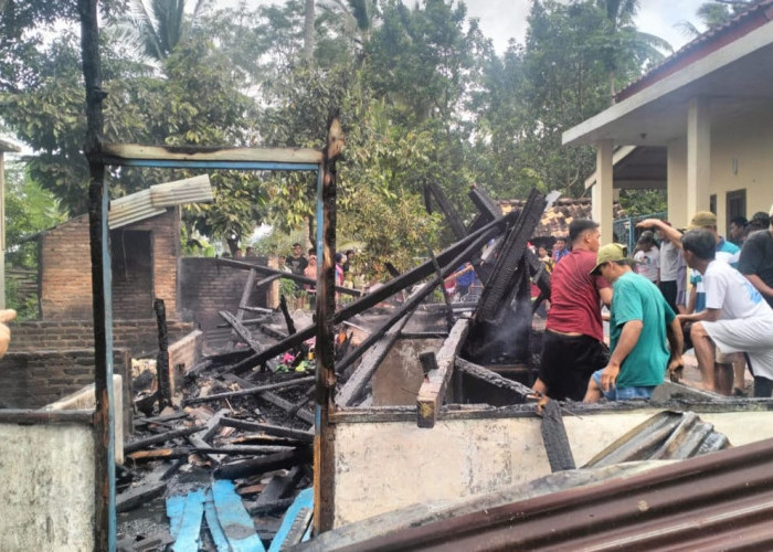 Ditinggal ke Sawah, Rumah Pekon Kejayaan Ludes Terbakar