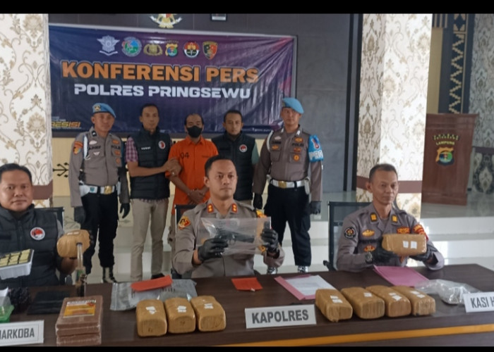 Polres Pringsewu Amankan Pengedar Ganja Jaringan Aceh 