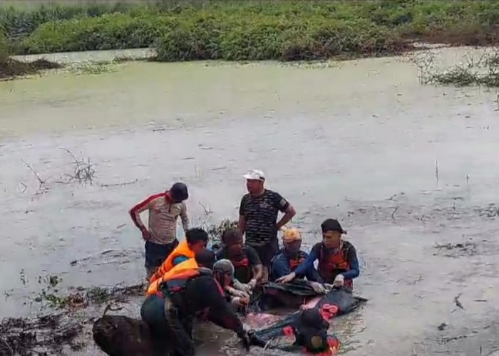 Niat Menolong Mobil Kecelakaan, Heri Tewas Tenggelam 