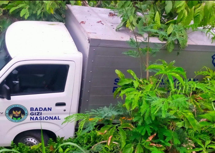 Mobil Program MBG Kecelakaan di Pulau Panggung Tanggamus, Polisi Masih Telusuri Kronologi