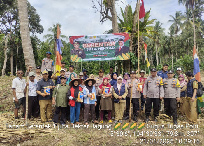 74 Pekon di Tanggamus Jadi Lokasi Tanam Jagung, Berikut Luasannya 