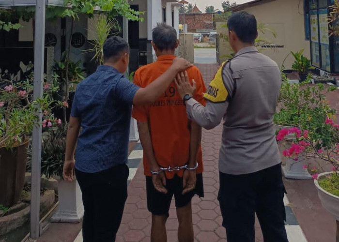 Jual Mobil yang Masih Kredit Rp50 Juta, Warga Pesawaran Dijemput Polisi
