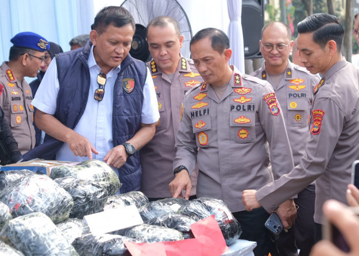Operasi 14 Hari, Polda Lampung Ungkap 379 Kasus Narkoba
