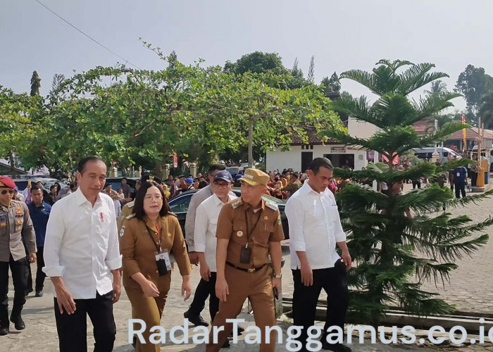 Kunjungi RSUD Batin Mangunang, Jokowi Cek Pelayanan Kesehatan BPJS
