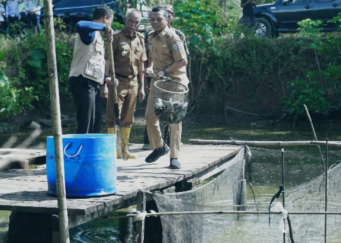 Bupati Pringsewu Minta Pembudidaya Ikan Terus Berinovasi & Tingkatkan Kualitas Produksi