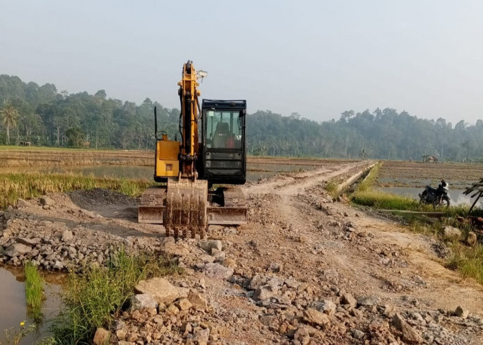 Pekon Banjarmasin, Kecamatan Bulok Bangun Jalan Usaha Tani