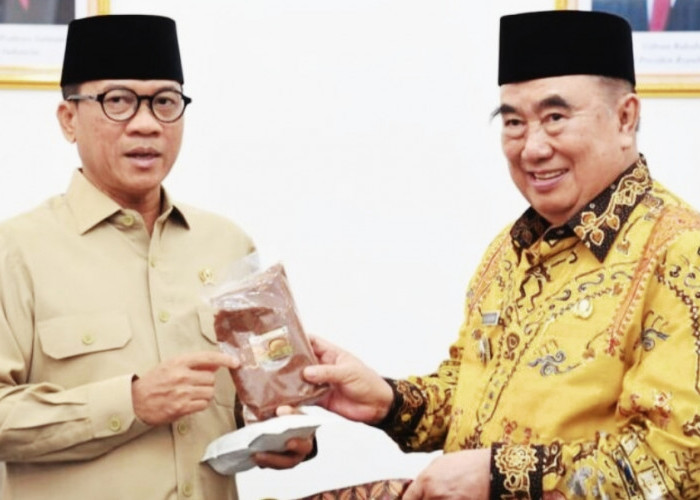 Mendes Dorong Digitalisasi Produk Desa Tanggamus Tembus Pasar Global