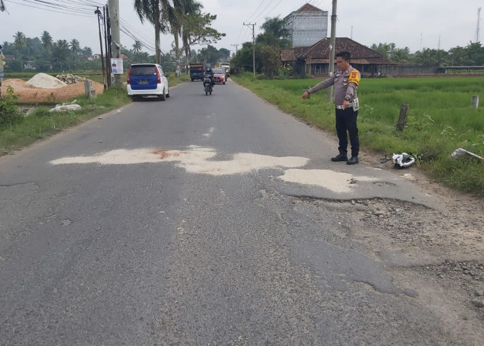 Tak Bisa Kendalikan Sepeda Motor, IRT di Pringsewu Tewas Ditabrak Truk