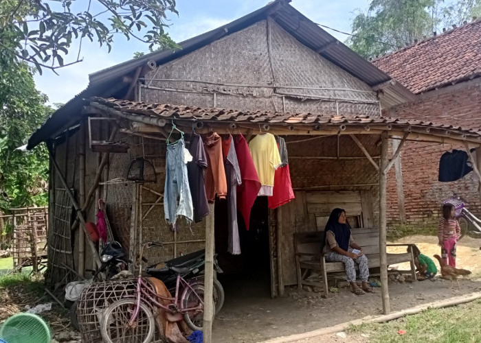 Miris! Puluhan Rumah Di Kecamatan Ini Tak Layak Huni