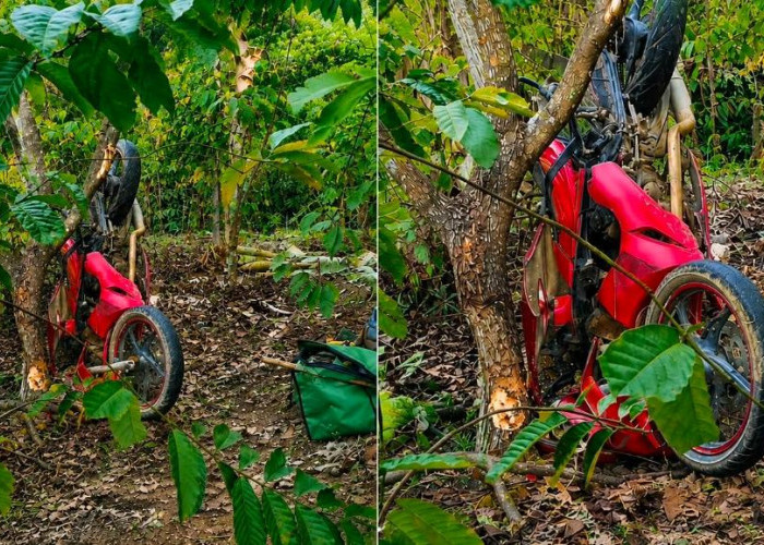 Bonceng Empat, Motor Diduga Rem Blong Terjun ke Jurang di Leter S Talang Jawa Ulubelu 
