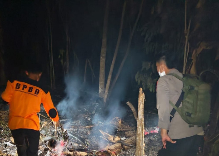 Kebakaran Lahan Perkebunan di Cukuh Balak Meluas hingga Satu Hektare
