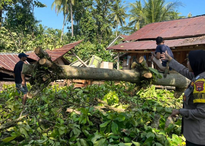 Puting Beliung Terjang Wonosobo Tanggamus, 13 Bangunan Rusak