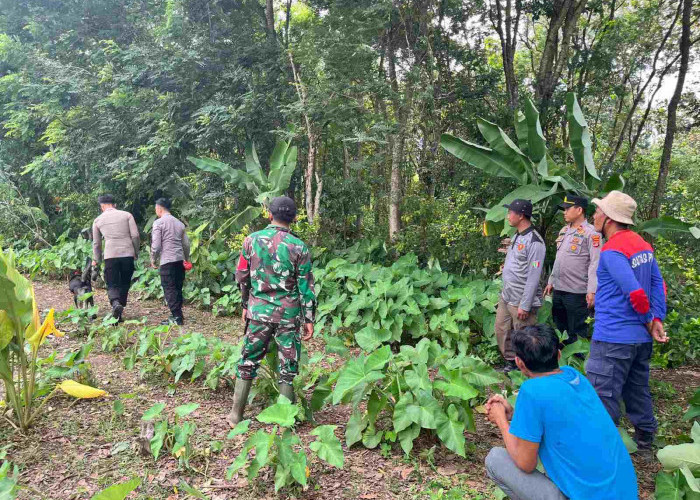 Masuki Hari Ke 5 Pencarian Mbah Kaliman, Tim Gabungan Kerahkan Anjing K9 