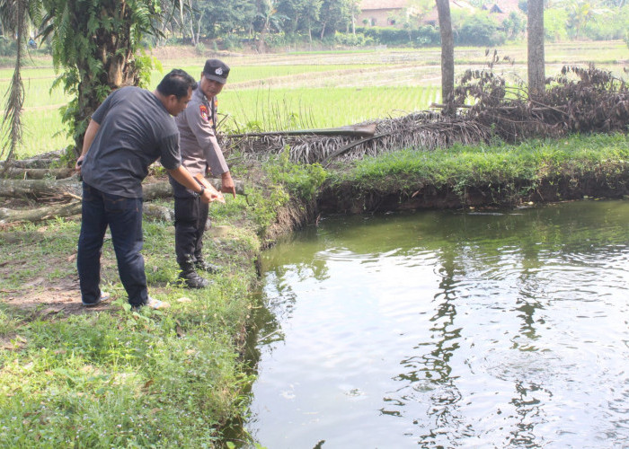 Tragis Bocah 8 Tahun di Pringsewu Tewas Tenggelam di Kolam Ikan, Diduga Terpeleset Saat Bermain