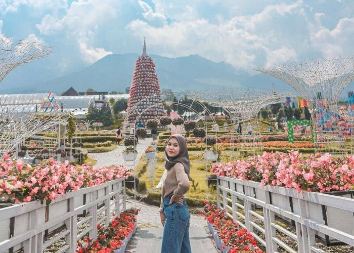 Bak Negri Dongeng Ini Tempat Wisata Romantis, Bunga Celosia di Semarang 