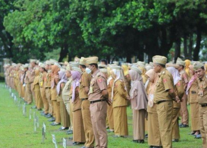 Banyak Posisi Jabatan Kosong di Pemkab Lambar, Di antaranya 10 Eselon II