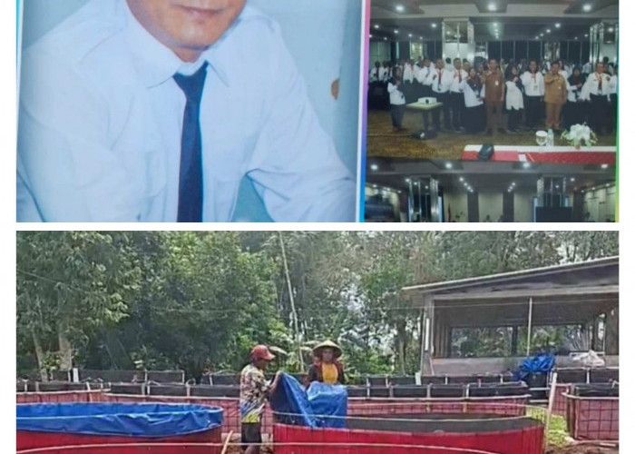 ASN Tanggamus Inisiasi Project Farming Integration: Gali Potensi Desa, Dorong Ketahanan Pangan