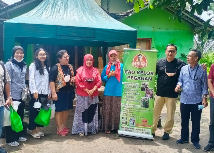 Manfaatkan KUR BRI, Siti Fatimah Berhasil Sulap Kelor Jadi Aneka Olahan Pangan yang Digemari