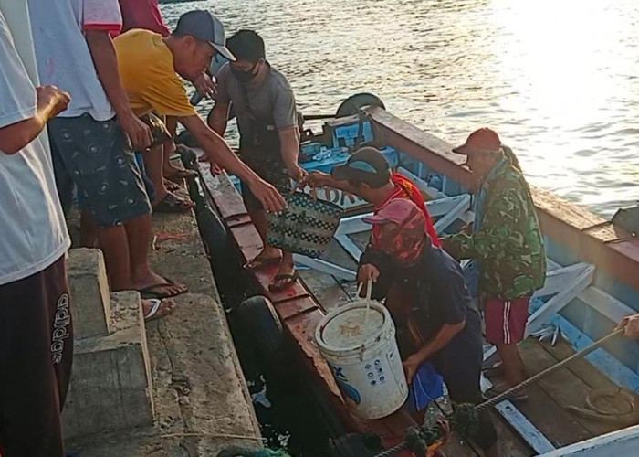 Cuaca Buruk, Hasil Tangkapan Nelayan Menurun