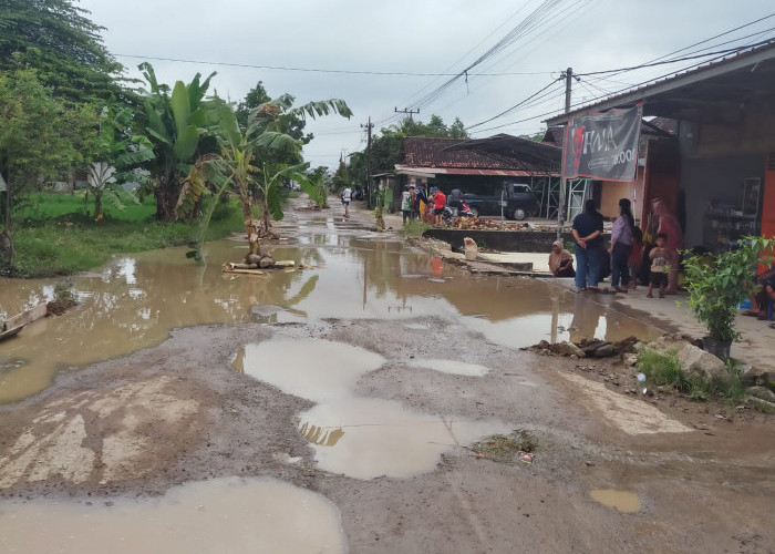 Warga Wonodadi Pringsewu Gelar Aksi Desak Pemda Perbaiki Kerusakan Jalan