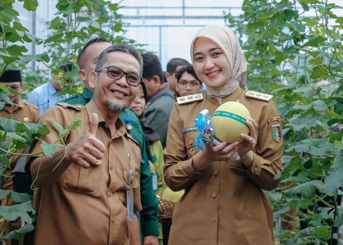Wagub Jihan Panen Melon Smart Greenhouse di Natar