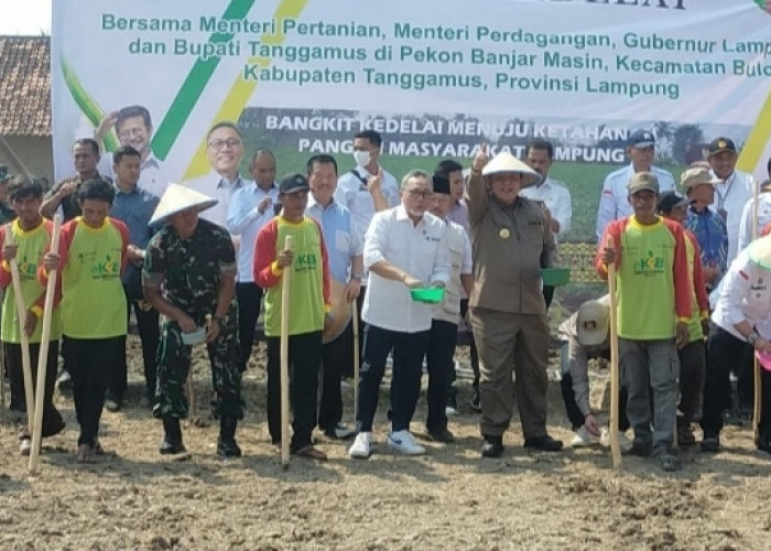 Petani Inginkan Harga, Kedelai Disesuaikan