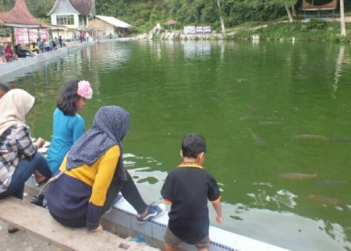 Wisata Sungai Juniah Di Sumatera Barat. Konon Terdapat Cerita Ikan Sakti