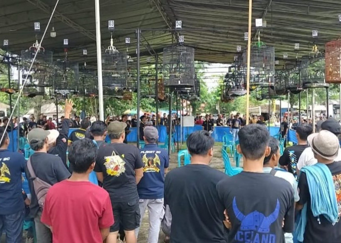 Ratusan Kicau Mania Ikuti Lomba Burung Kicau Yang Digelar Polres Tanggamus dan Granat
