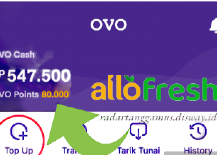 Tingkatkan Transaksi di Allofresh, Nikmati Saldo OVO Cash Cuma Cuma