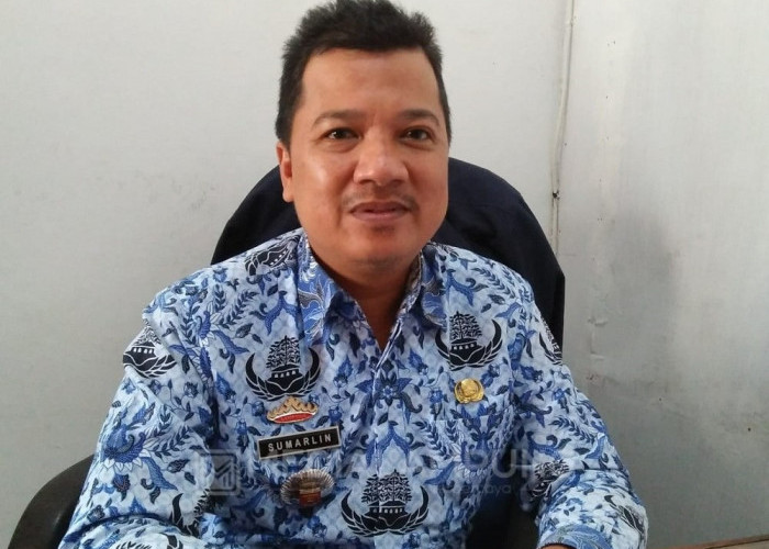 Disbunnak Lambar Akan Terima Bantuan Bibit Kopi dari BBPPTP Medan